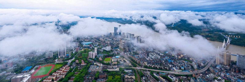 如何选择合适的宜昌网络公司？