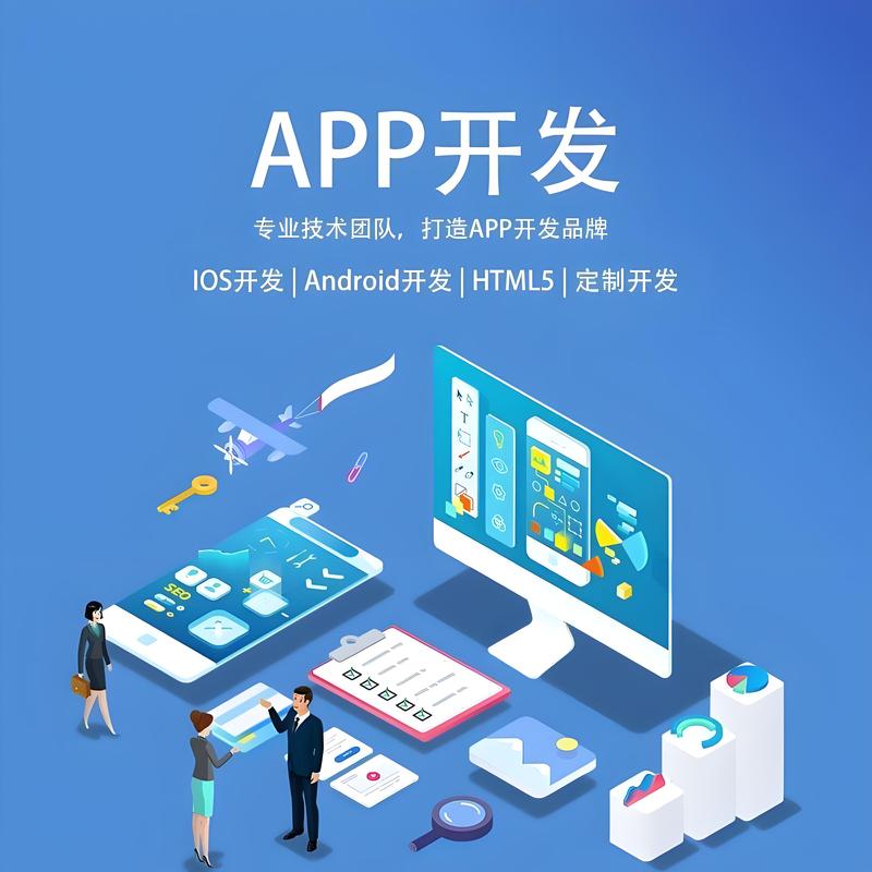 软件定制